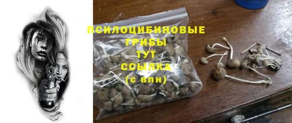 соль ск Алексин