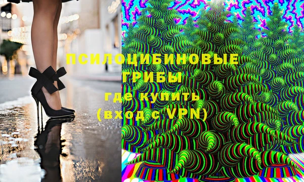 а пвп мука Алзамай