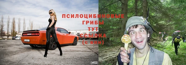 а пвп мука Алзамай
