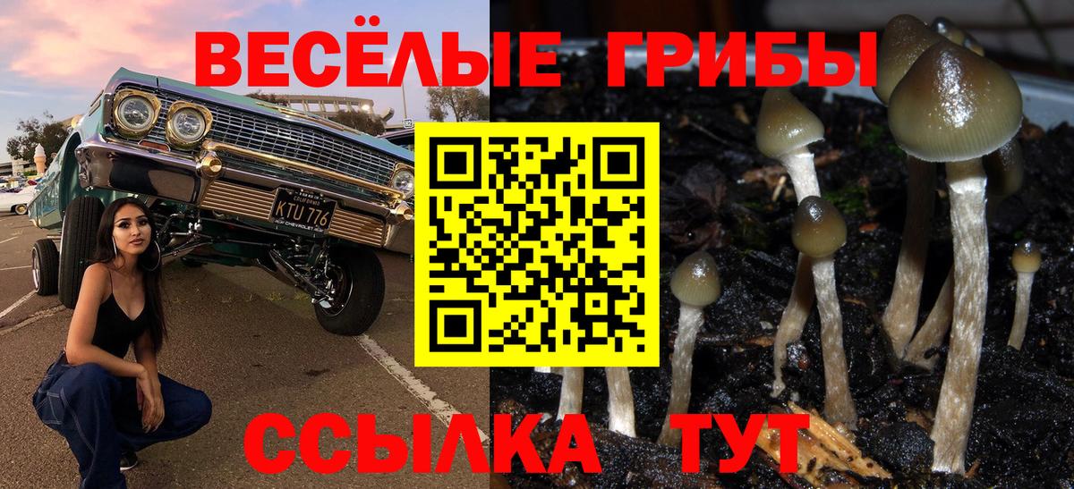 Псилоцибиновые грибы ЛСД Благовещенск