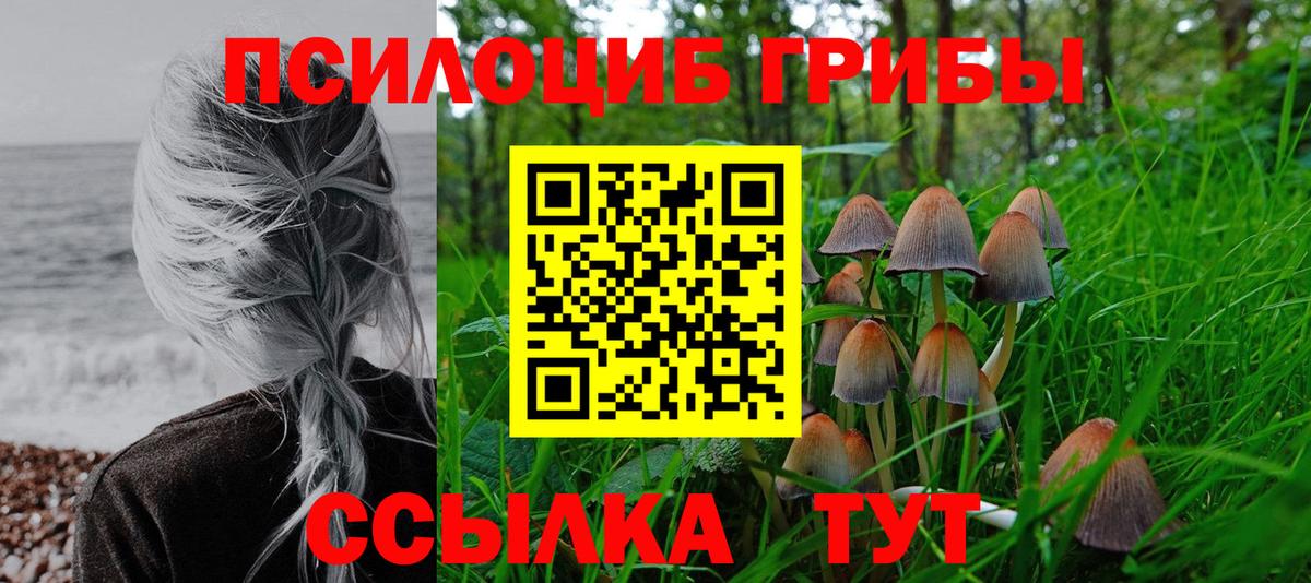 Псилоцибиновые грибы Psilocybe  Вход с VPN  Благовещенск  Псилоцибиновые грибы мицелий 
