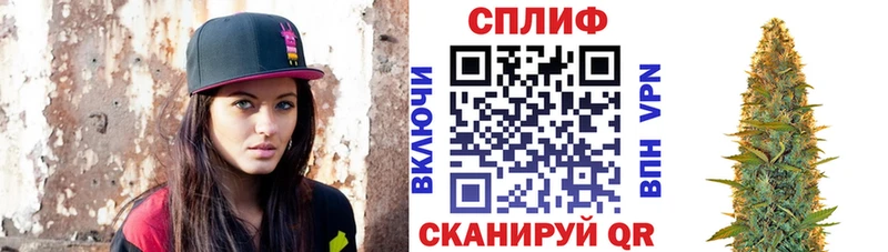 цена наркотик  Благовещенск  darknet как зайти  Конопля сатива 